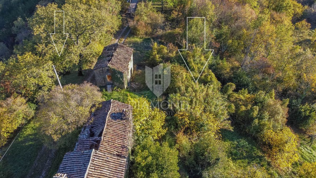 Motovun, Nepremičnina z odličnim razvojnim potencialom!