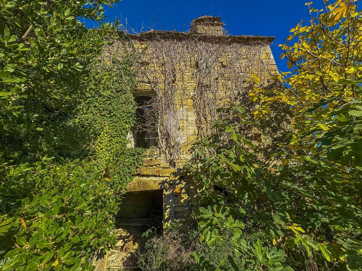 Motovun, Nepremičnina z odličnim razvojnim potencialom!