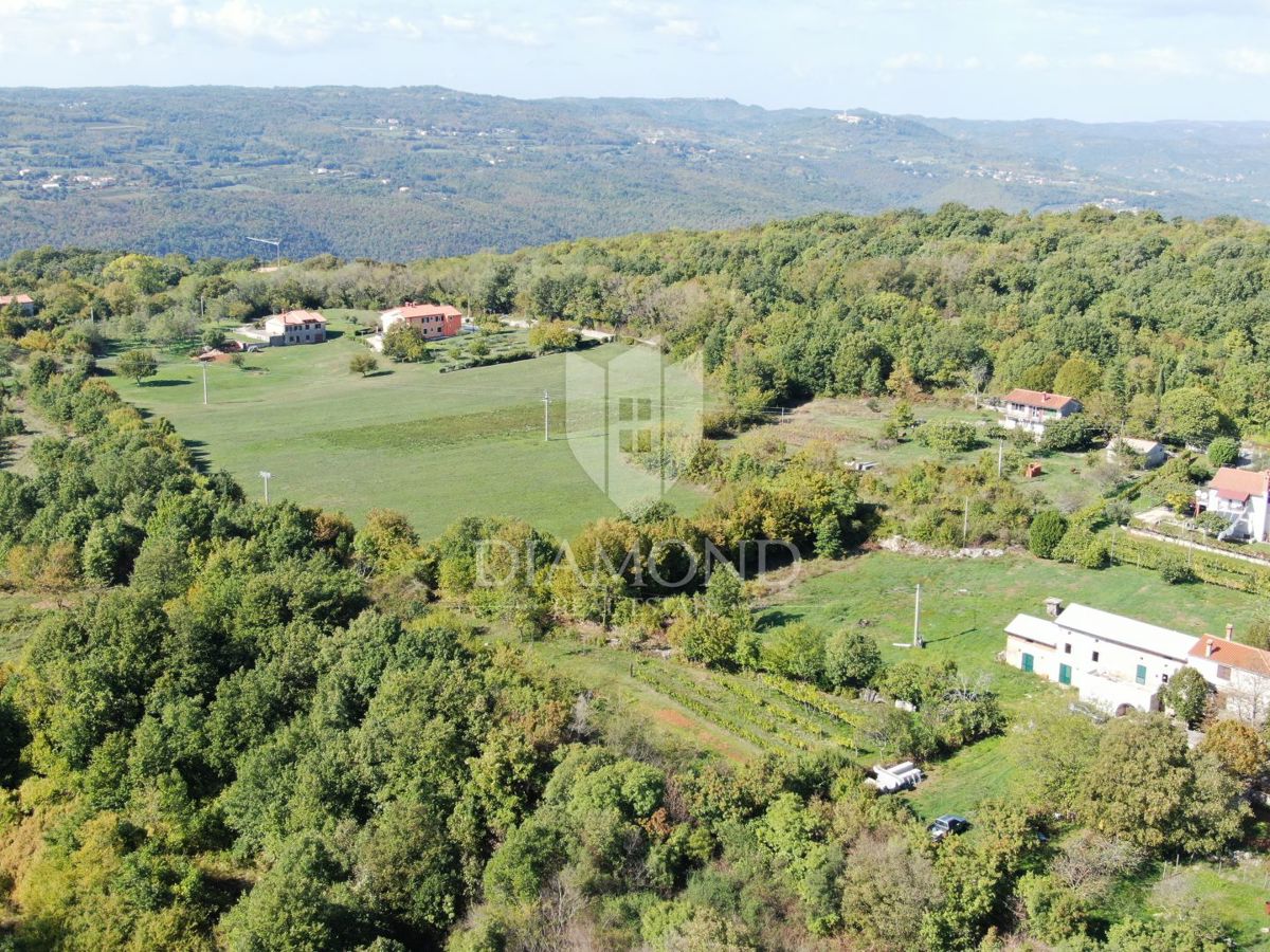 Labin, okolica, kamnita hiša za adaptacijo