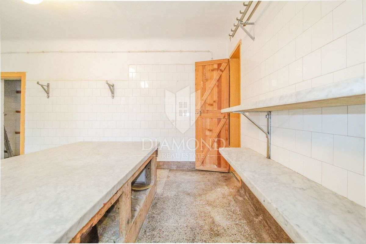 Brtonigla, poslovni prostor v centru