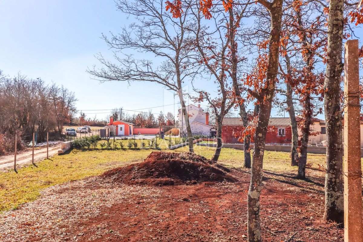 Hiša Anžići, Višnjan, 220m2