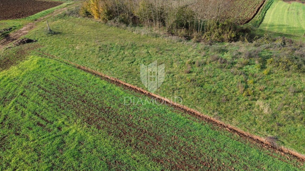 osrednja Istra, zemljišče z gradbenim dovoljenjem
