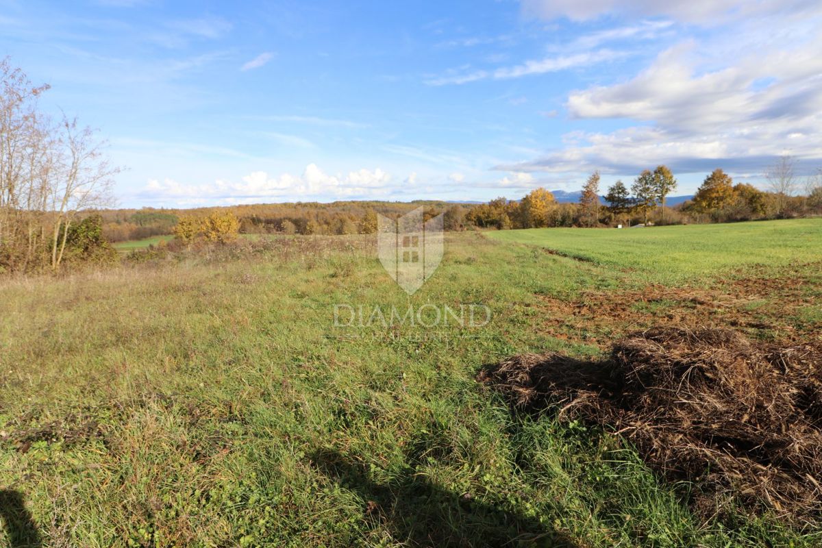 osrednja Istra, zemljišče z gradbenim dovoljenjem