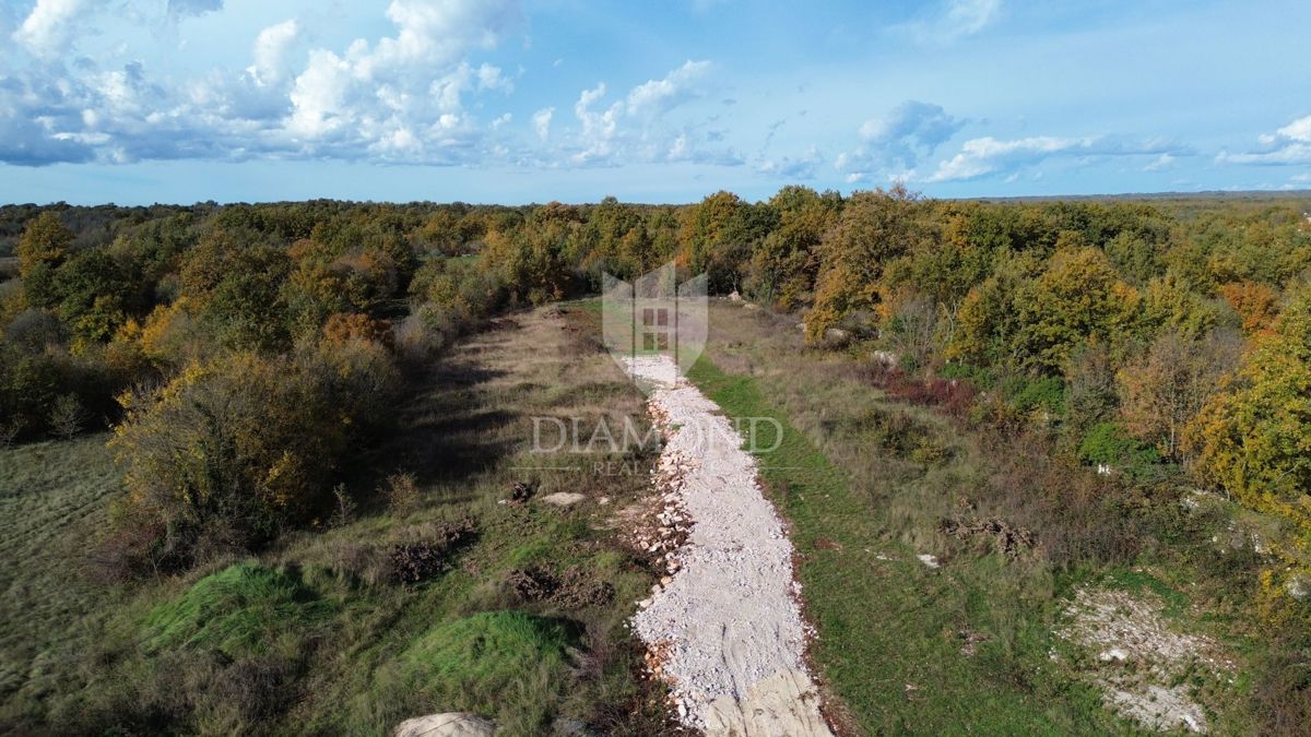 Svetvinčenat, odlično zemljišče na mirni lokaciji 