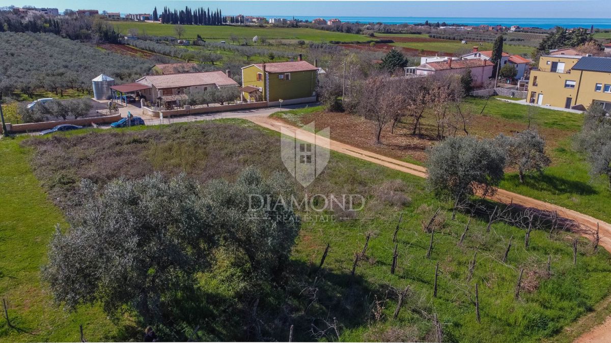 Zemljišče Novigrad, 1.260m2