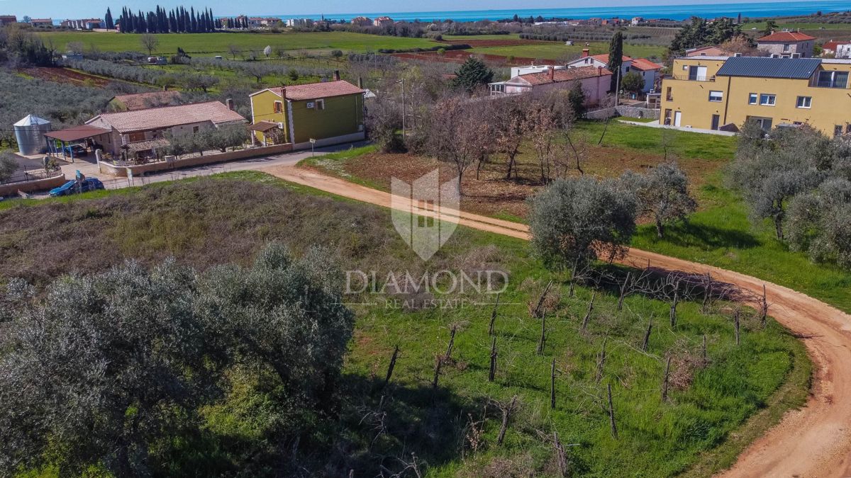 Zemljišče Novigrad, 1.260m2