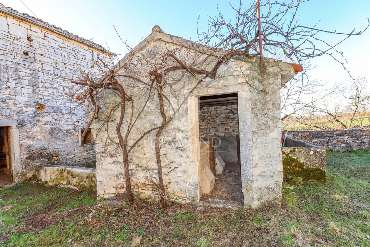 Osrednja Istra, čudovit kompleks hiš, ki izžarevajo zgodovino 