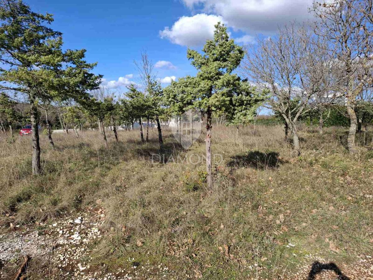 Odlično zemljišče s projektom in gradbenim dovoljenjem