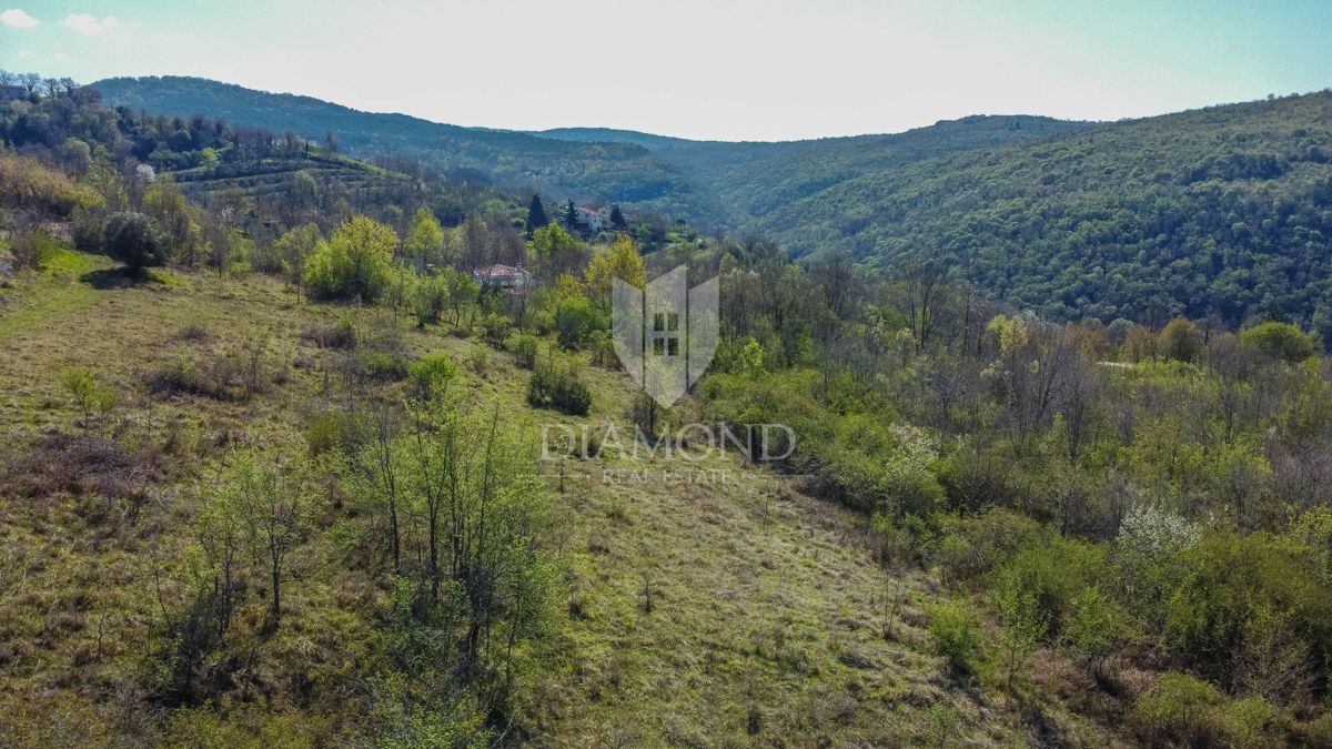 Zemljišče Brkač, Motovun, 12.701m2