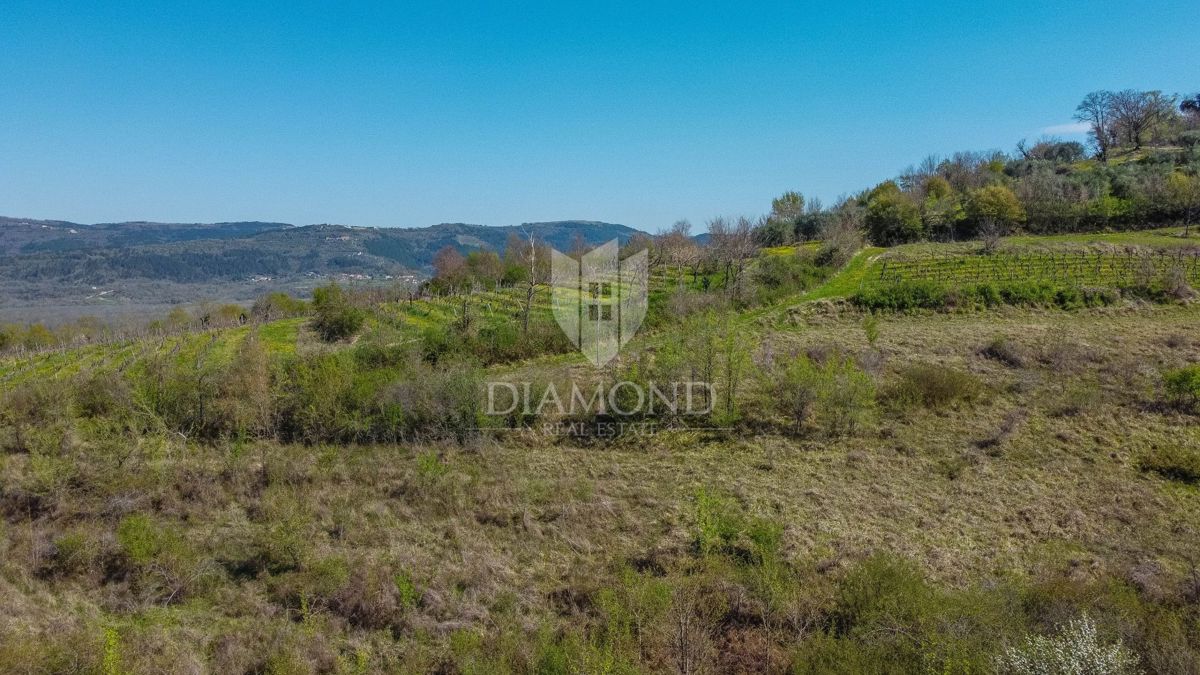 Zemljišče Brkač, Motovun, 12.701m2