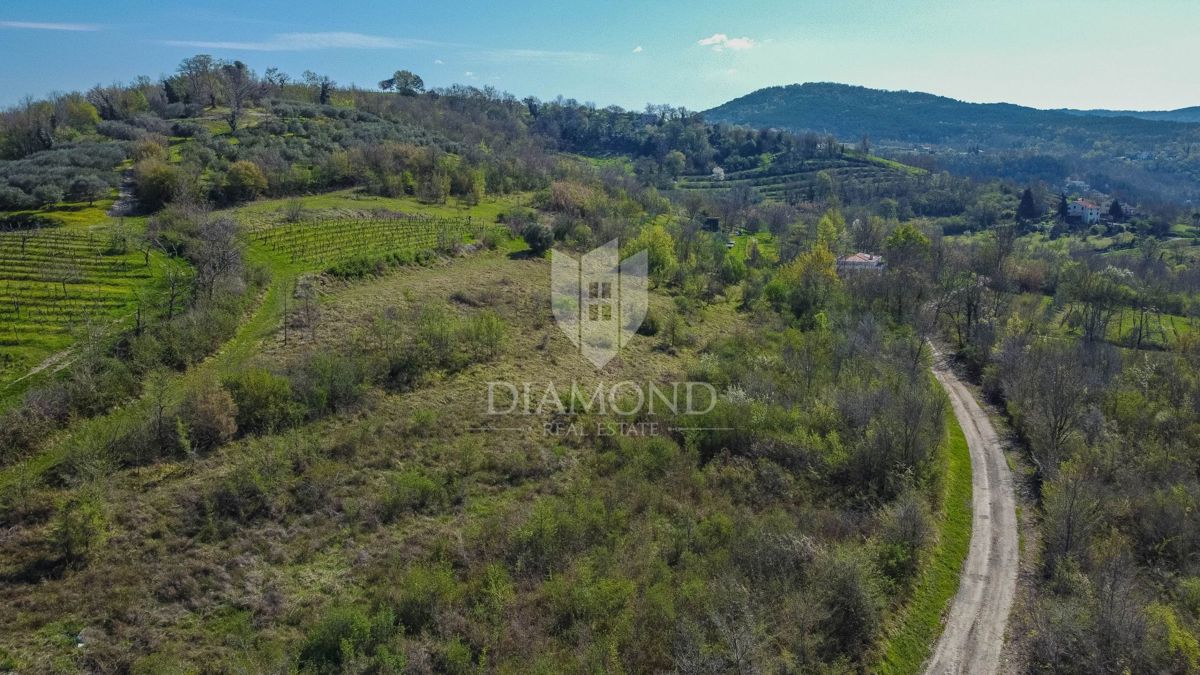 Zemljišče Brkač, Motovun, 12.701m2