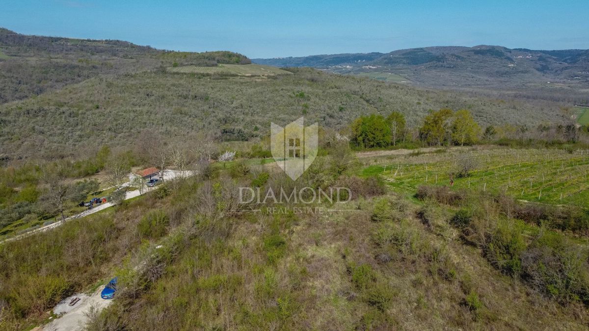 Zemljišče Brkač, Motovun, 12.701m2