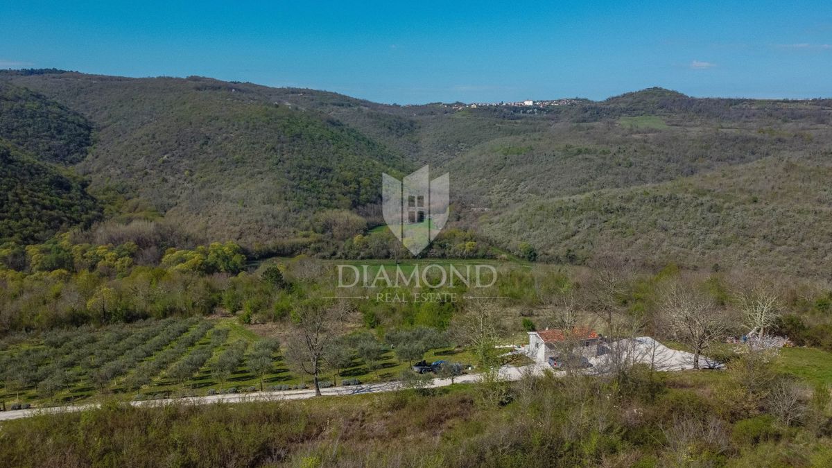 Zemljišče Brkač, Motovun, 12.701m2