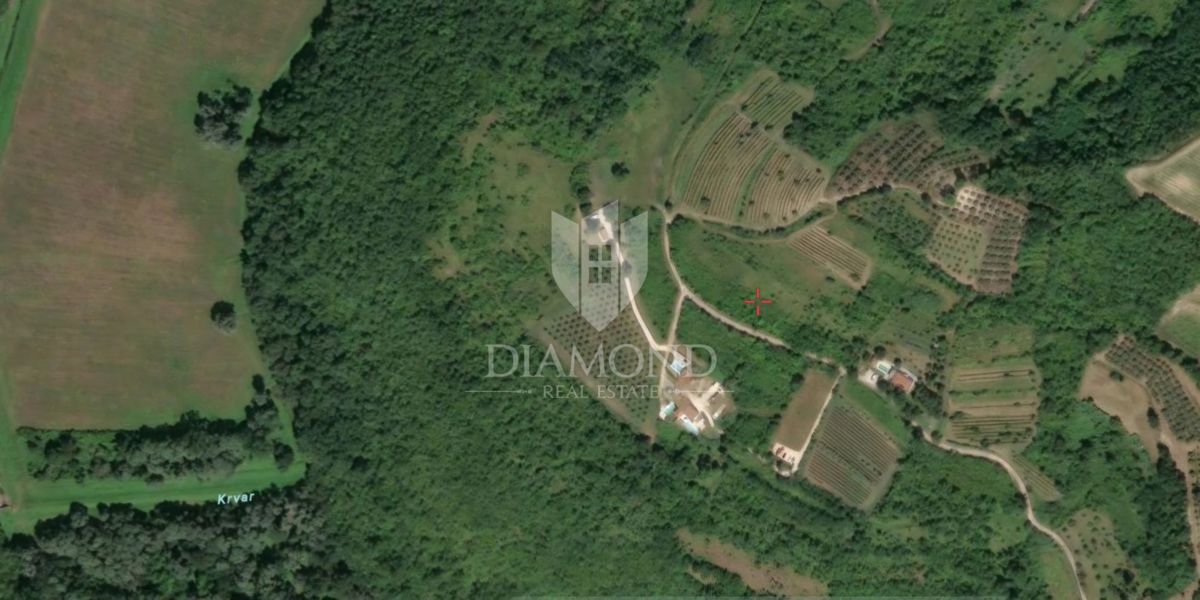 Zemljišče Brkač, Motovun, 12.701m2