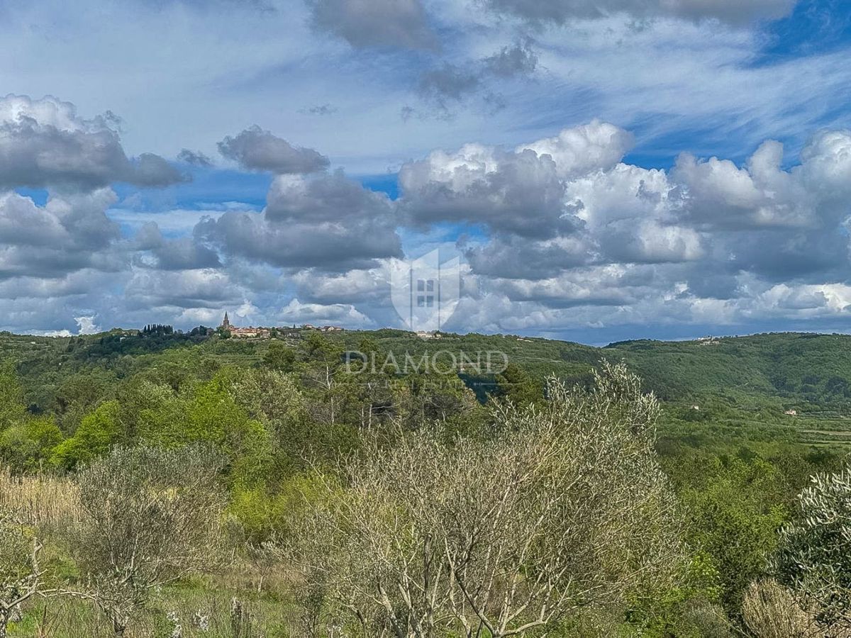 Istra, Buje, okolica - investicijska priložnost!