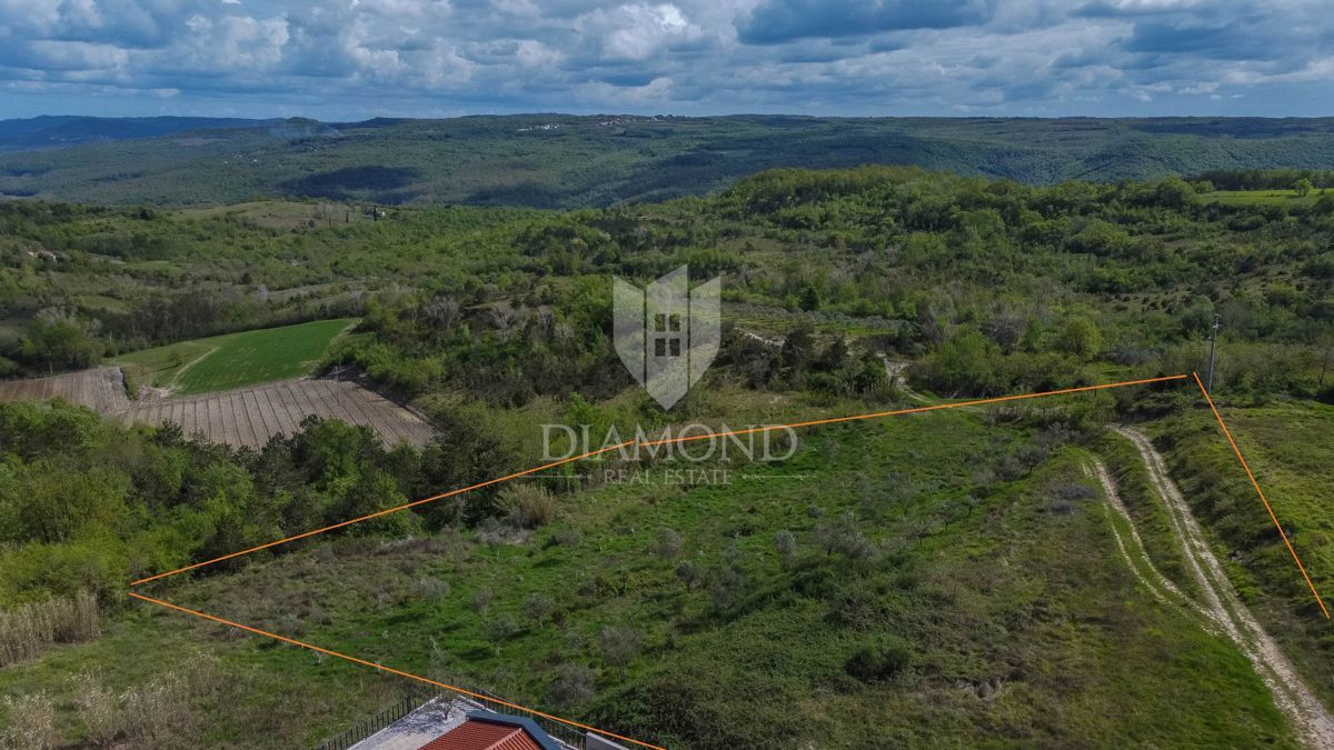 Istra, Buje, okolica - investicijska priložnost!