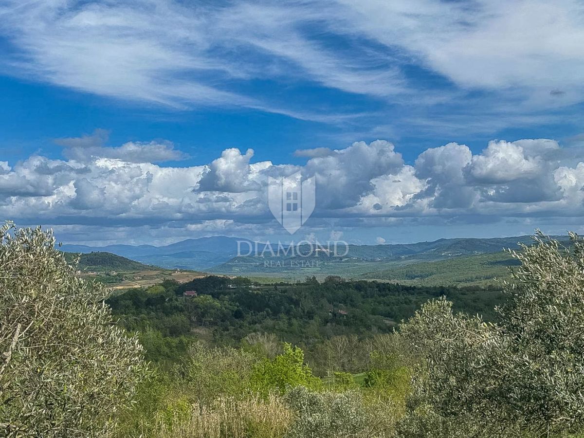Istra, Buje, okolica - investicijska priložnost!