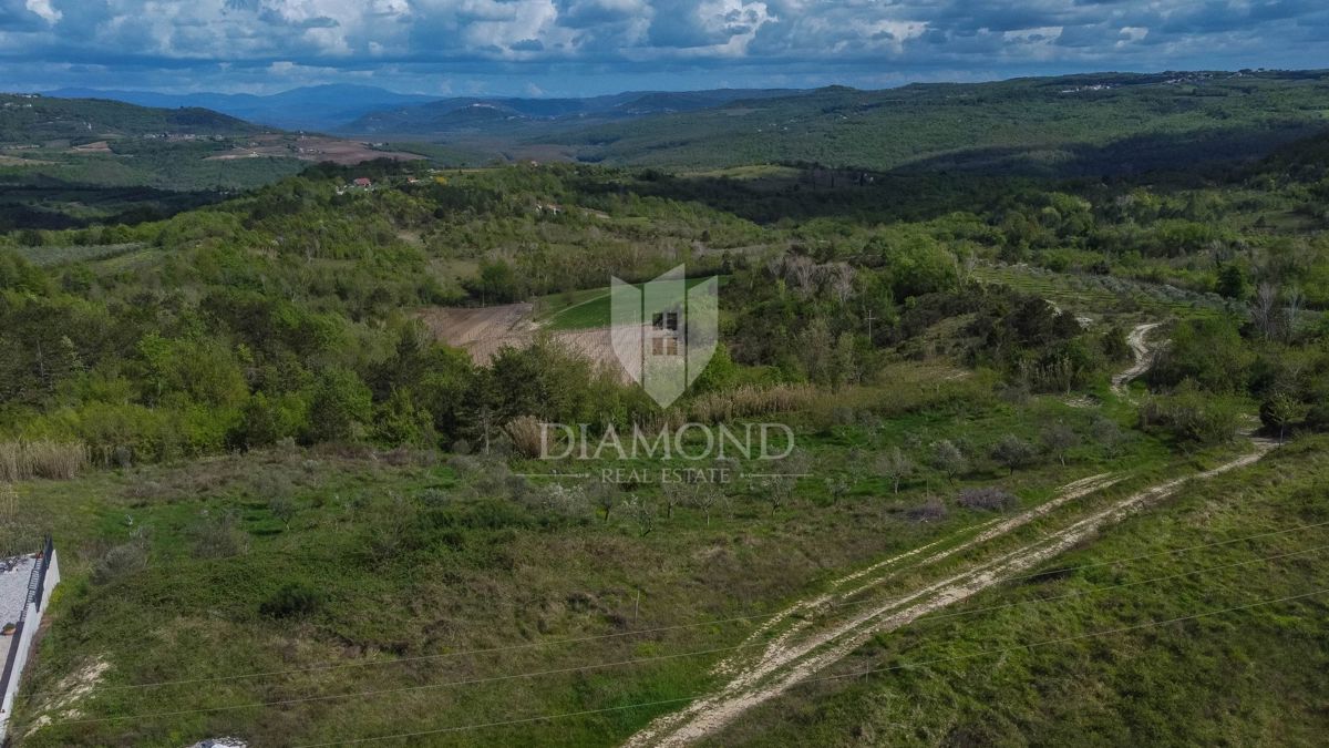 Istra, Buje, okolica - investicijska priložnost!