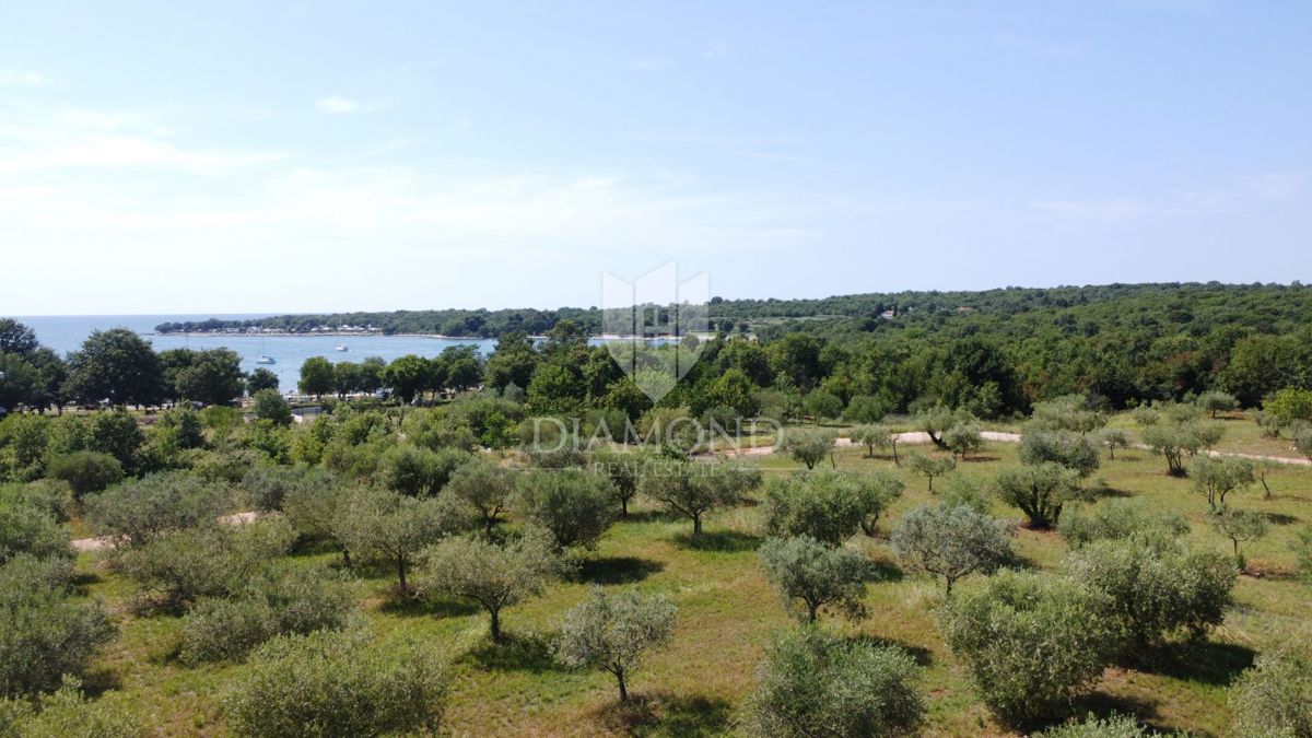 Poreč, moderna vila na ekskluzivni lokaciji!