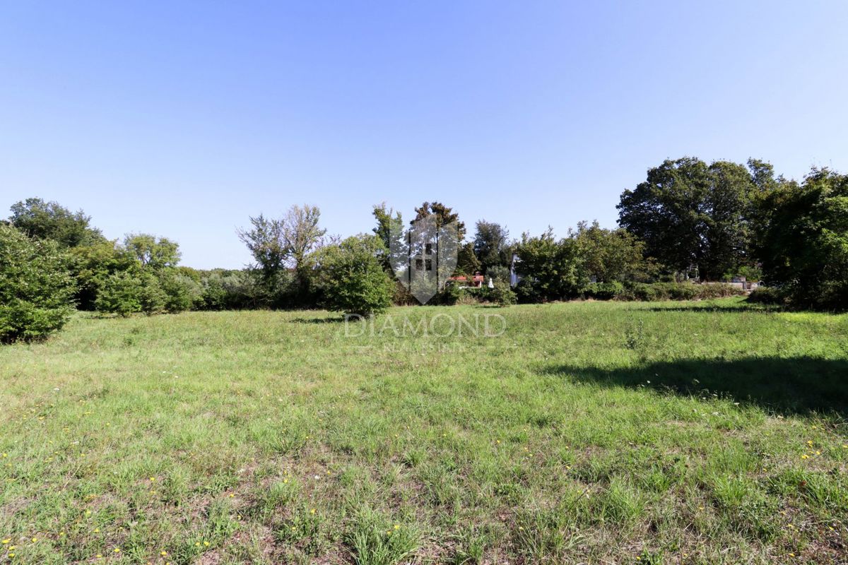 Vodnjan, okolica - odlično gradbeno zemljišče! 