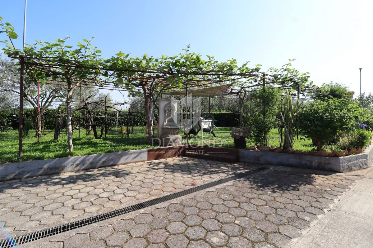 Umag, hiša 250 m2 s 4 apartmaji in 1.000 m2 vrta 