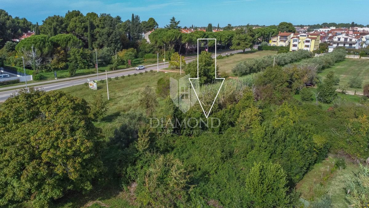 Ekskluzivno! Novigrad, zemljišče na izjemni lokaciji!