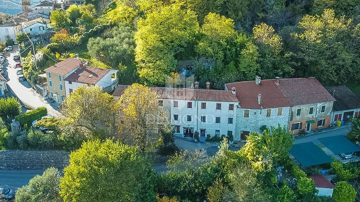 EKSKLUZIVNO! Motovun, prostorna hiša 264 m2 na robu mesta