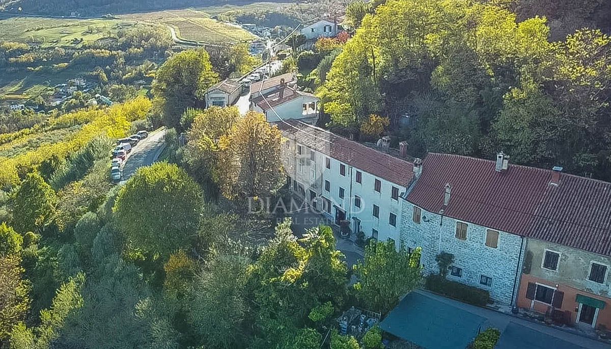 EKSKLUZIVNO! Motovun, prostorna hiša 264 m2 na robu mesta