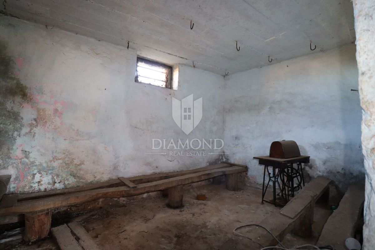 Dve hiši za prenovo z velikim dvoriščem, okolica Žminja