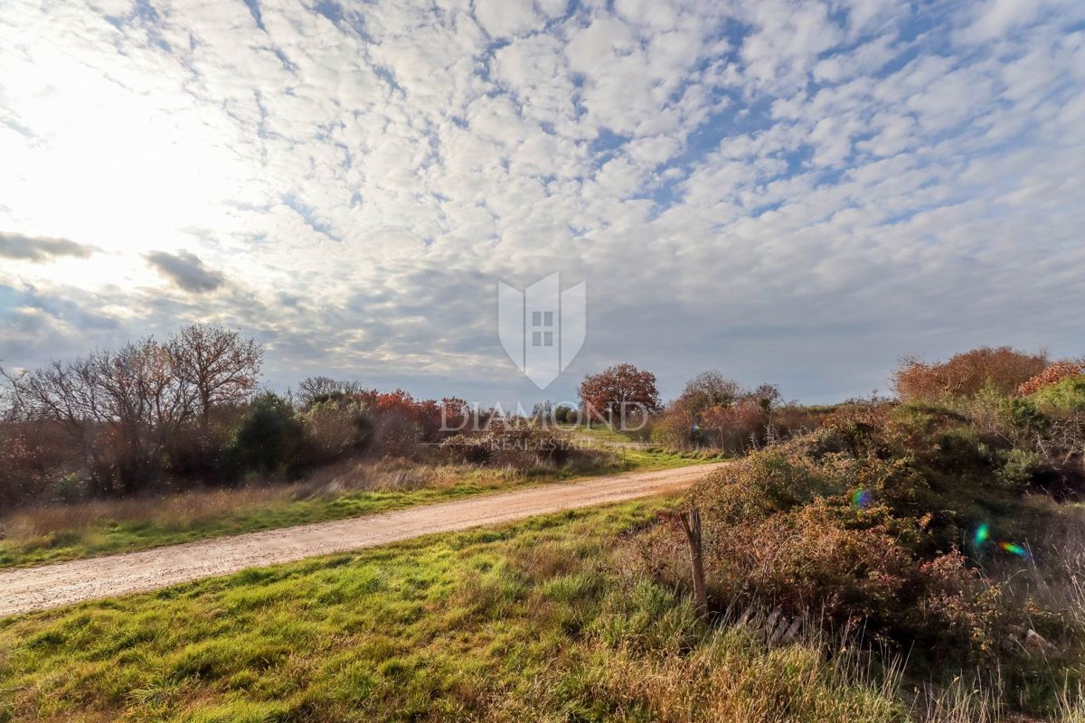 Bale, osamljena kamnita hiša za prenovo