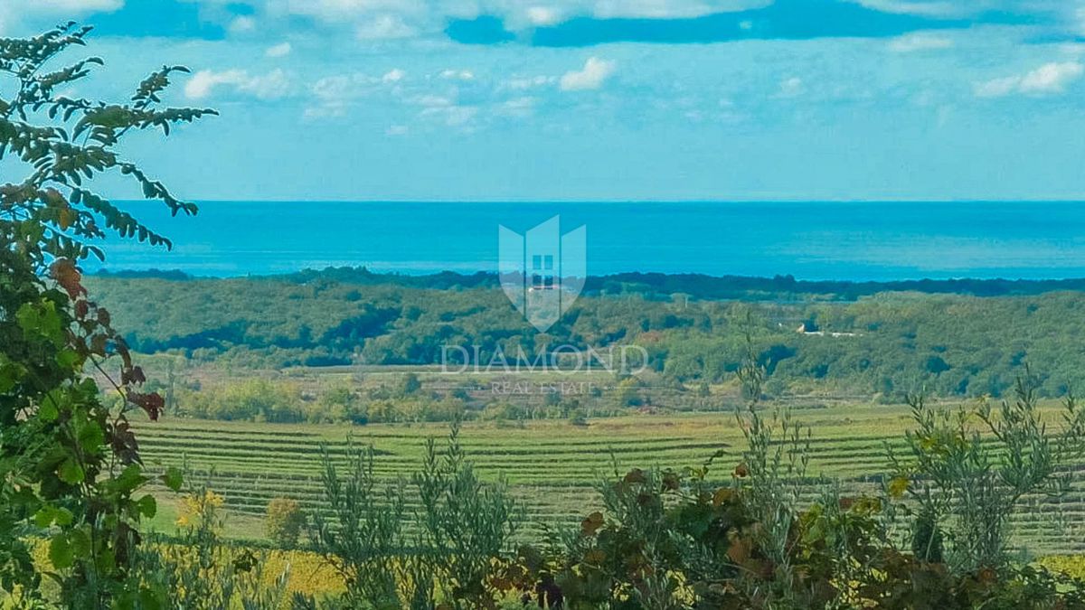 Buje, gradbeno zemljišče s panoramskim razgledom!