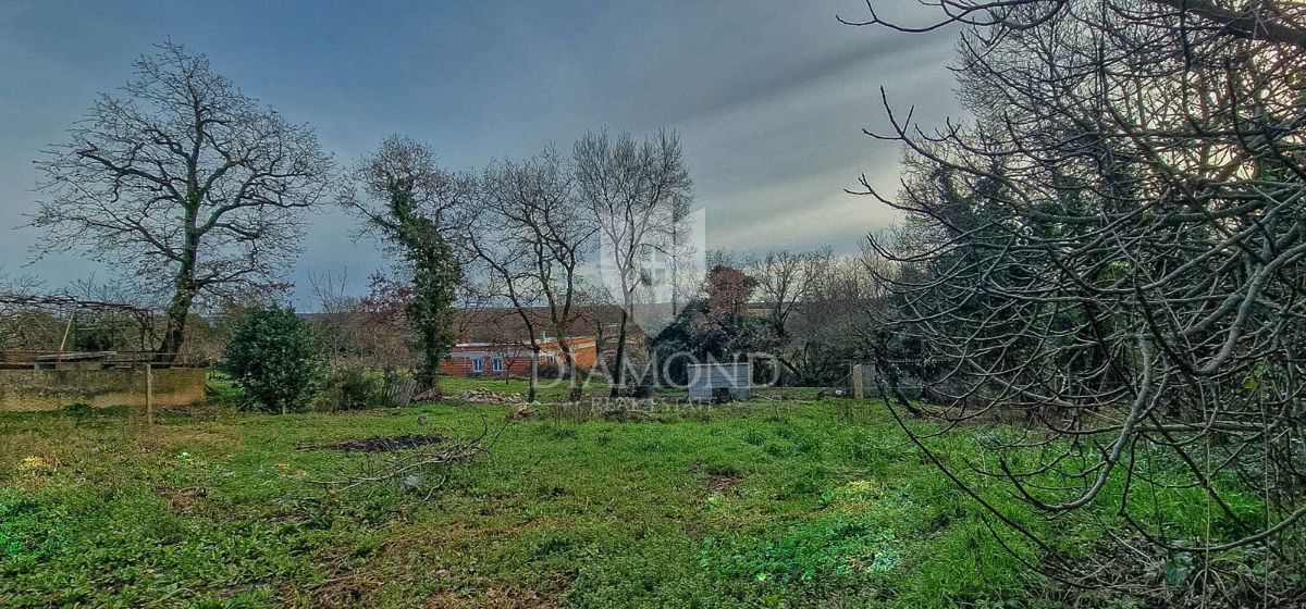 Novigrad, okolica, čudovito zemljišče velikosti 1082 m2 z označeno starino!