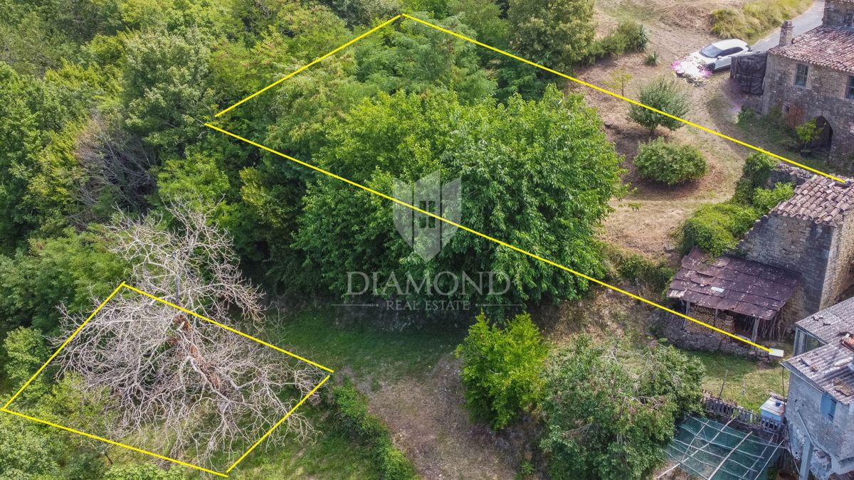 Motovun, okolica - starina z velikim potencialom v srcu Istre