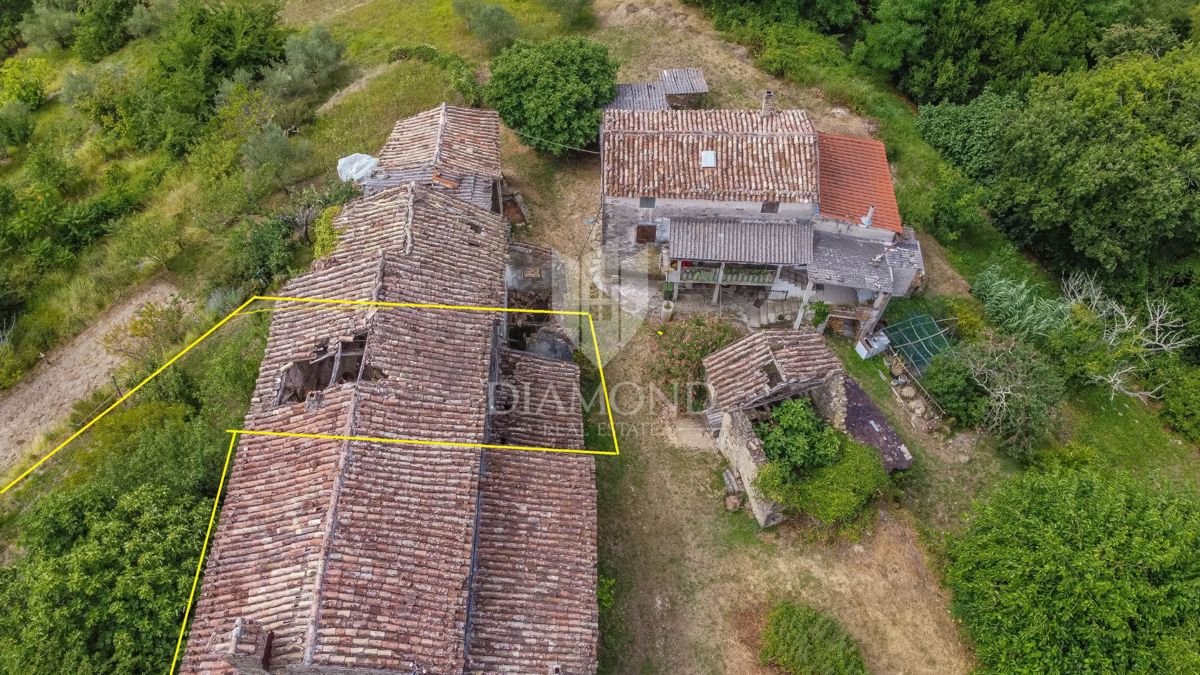 Motovun, okolica - starina z velikim potencialom v srcu Istre