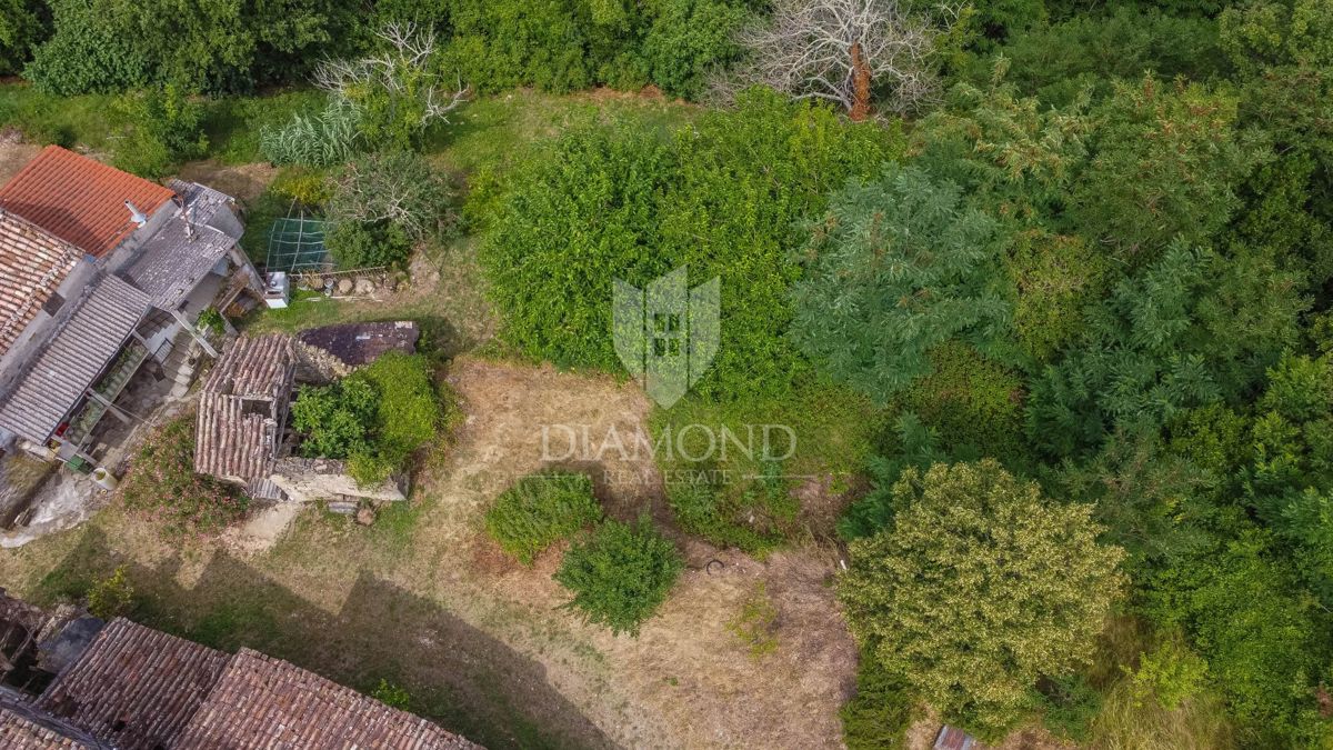 Motovun, okolica - starina z velikim potencialom v srcu Istre