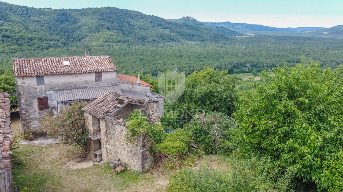 Motovun, okolica - starina z velikim potencialom v srcu Istre