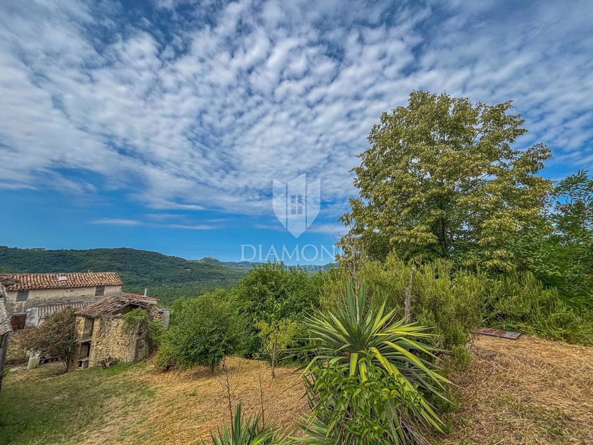 Motovun, okolica - starina z velikim potencialom v srcu Istre