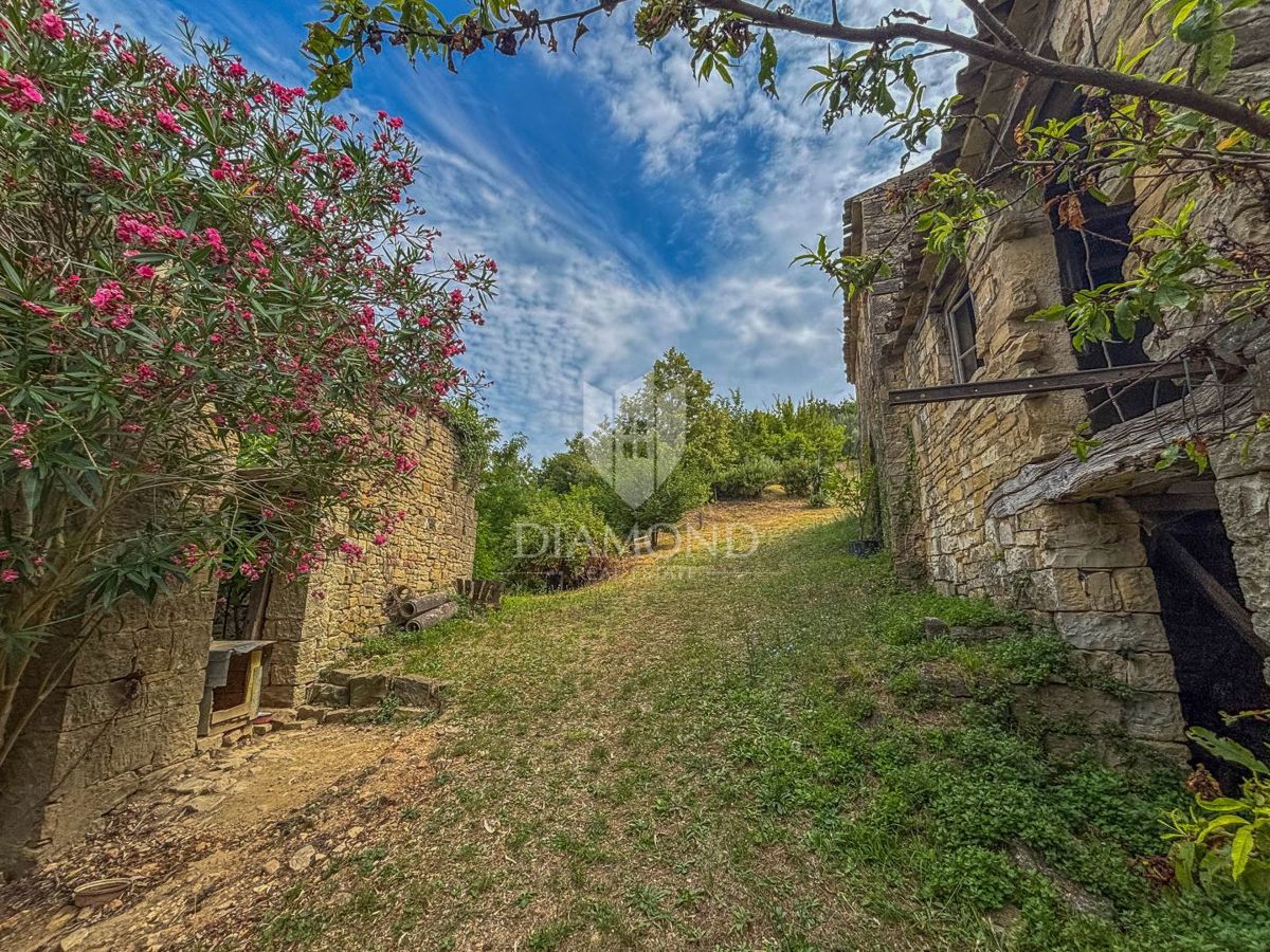 Motovun, okolica - starina z velikim potencialom v srcu Istre