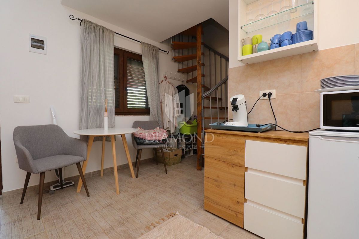 Labin z okolico, čudovita počitniška hiša z dvema stanovanjema