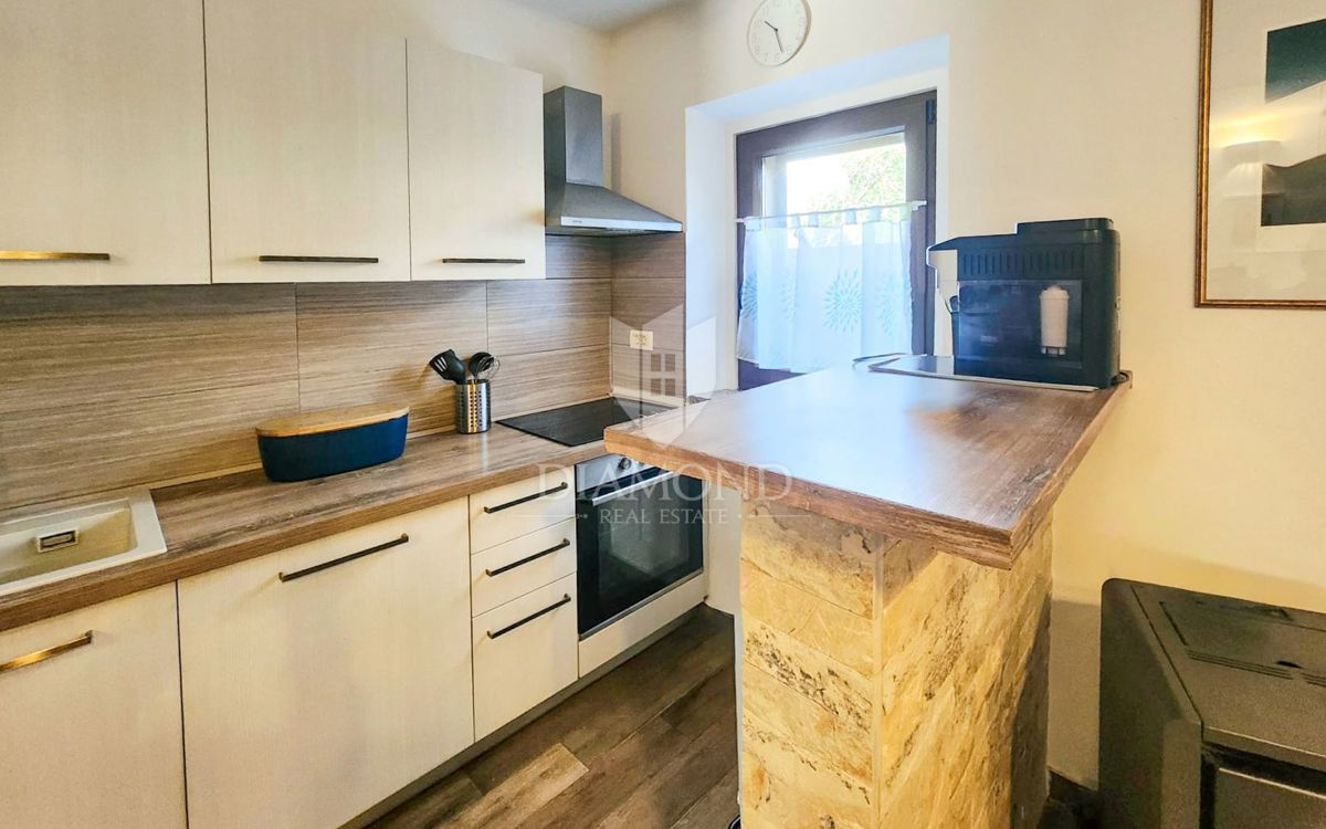 Labin z okolico, čudovita počitniška hiša z dvema stanovanjema