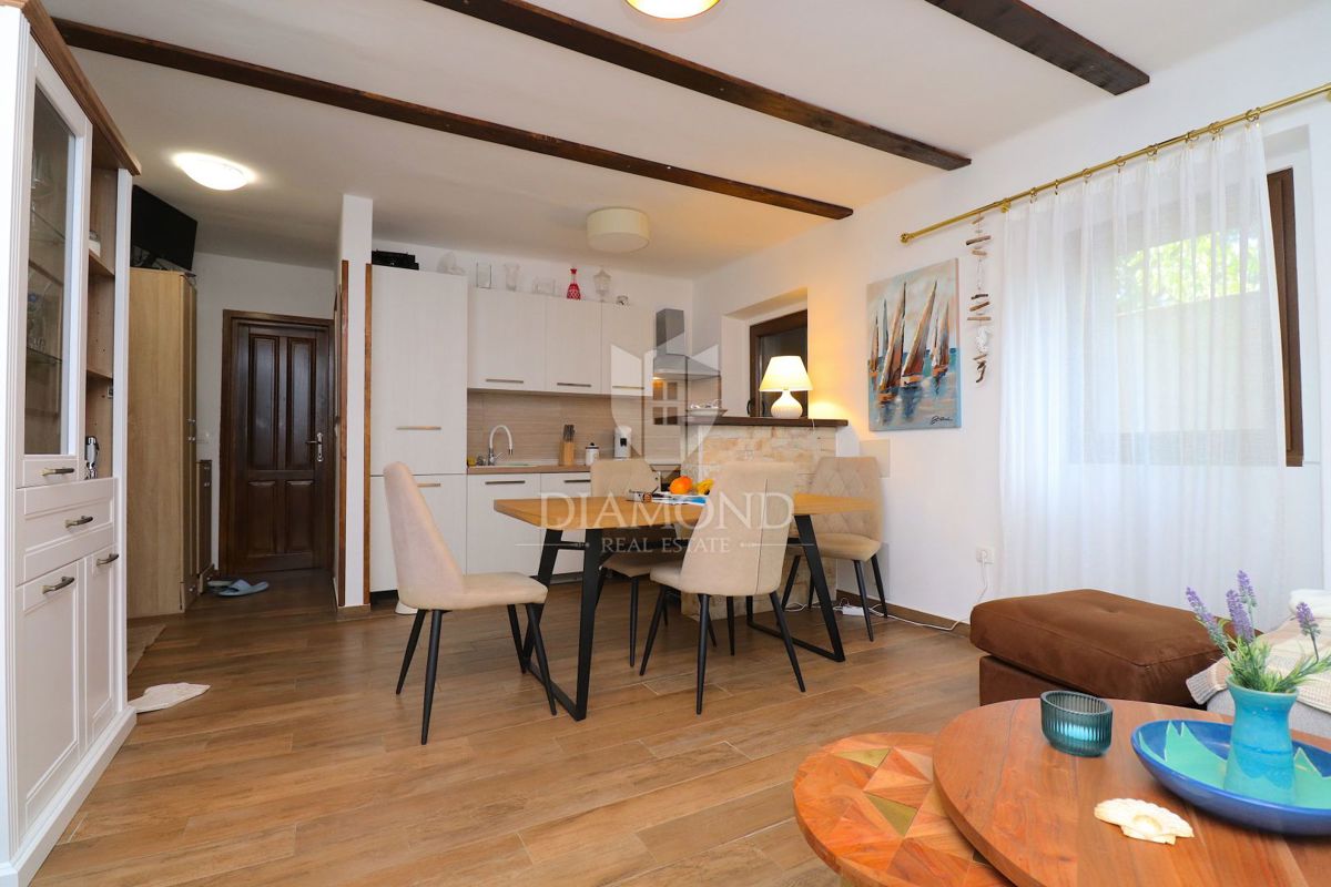 Labin z okolico, čudovita počitniška hiša z dvema stanovanjema