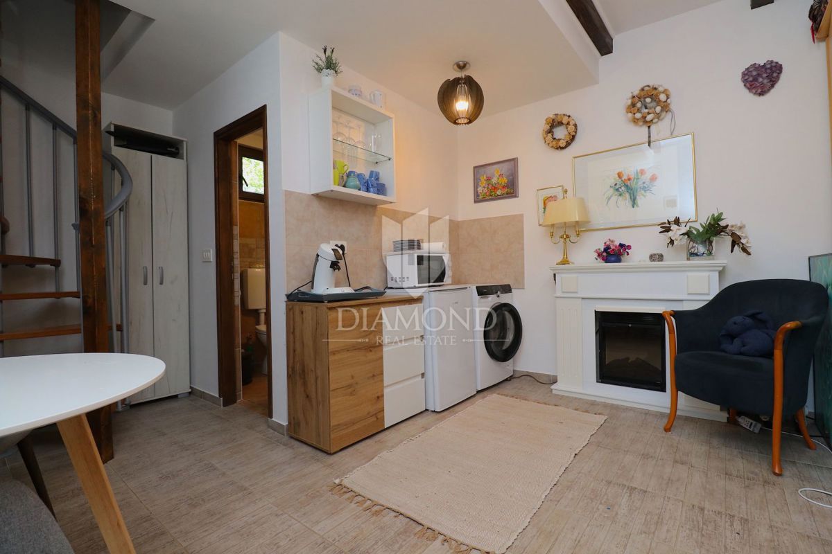 Labin z okolico, čudovita počitniška hiša z dvema stanovanjema