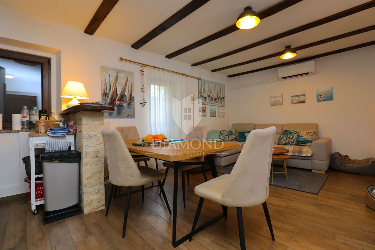 Labin z okolico, čudovita počitniška hiša z dvema stanovanjema