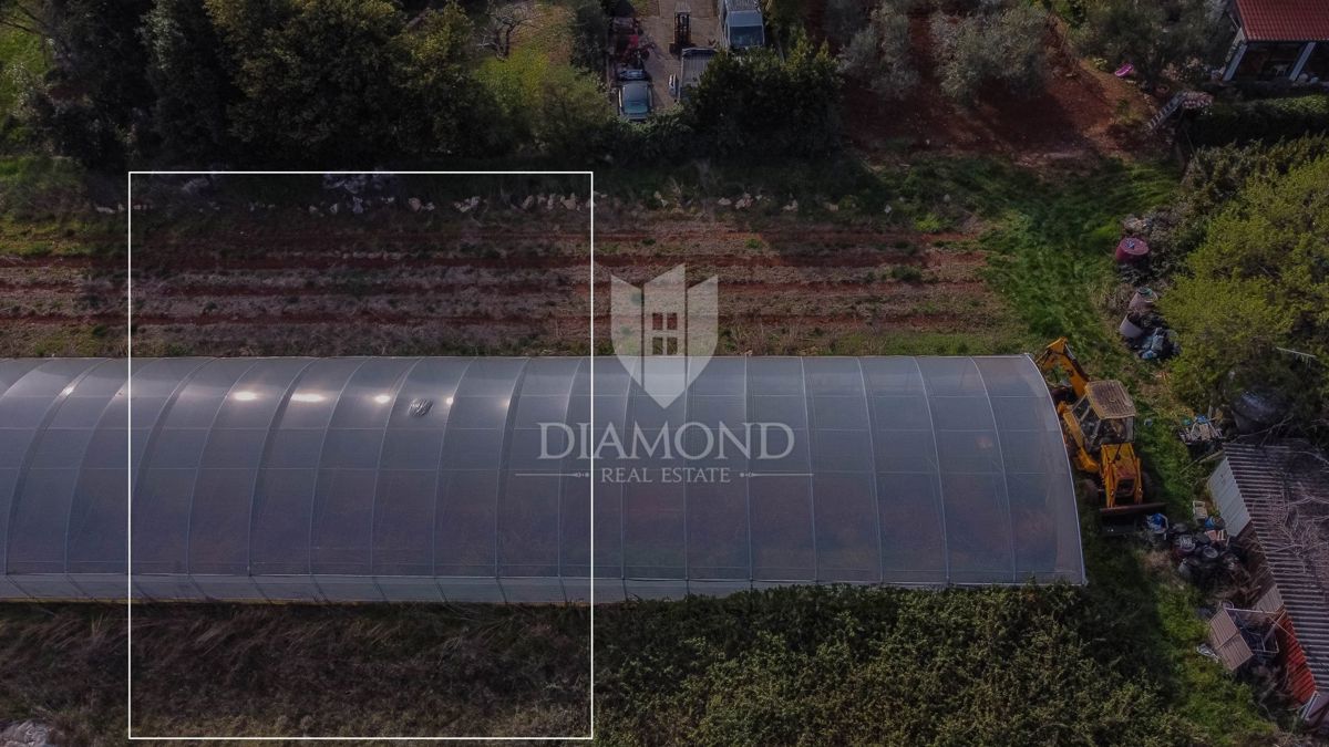 Umag, okolica, zemljišče na odlični lokaciji!