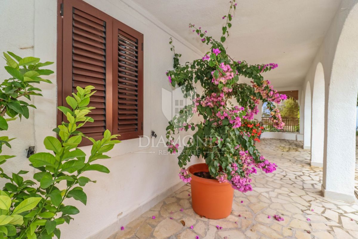 Rovinj, okolica, apartmajska hiša v centru