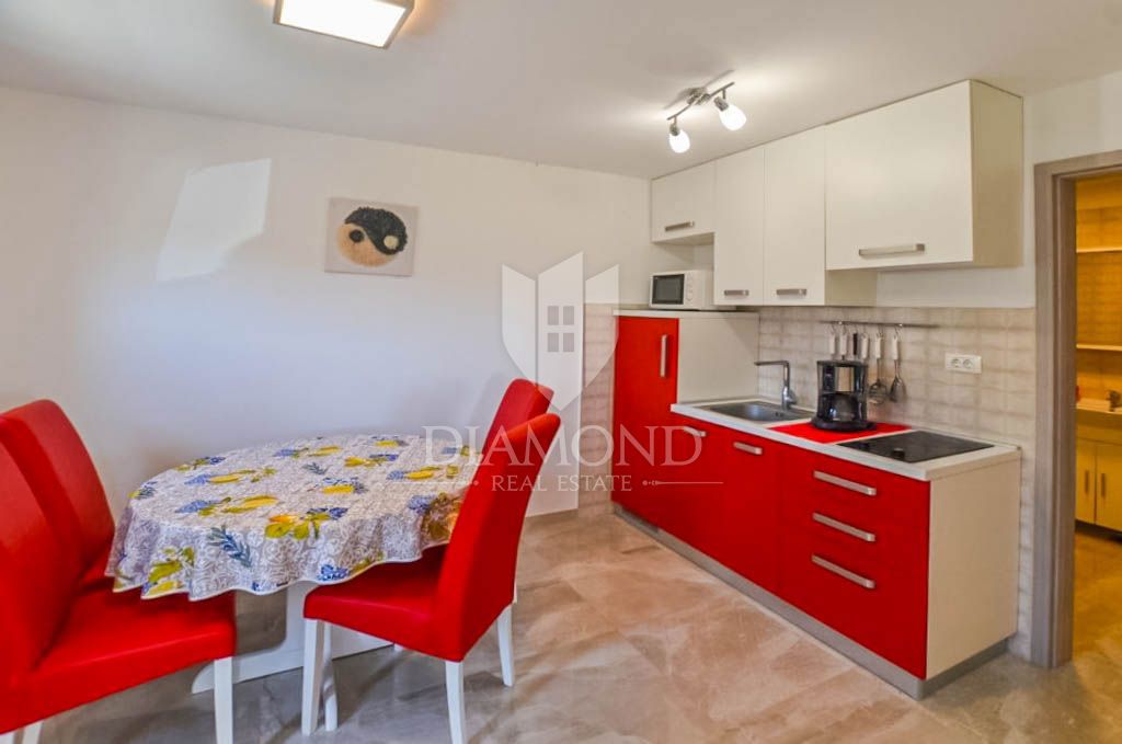 Hiša Rovinj, 240m2
