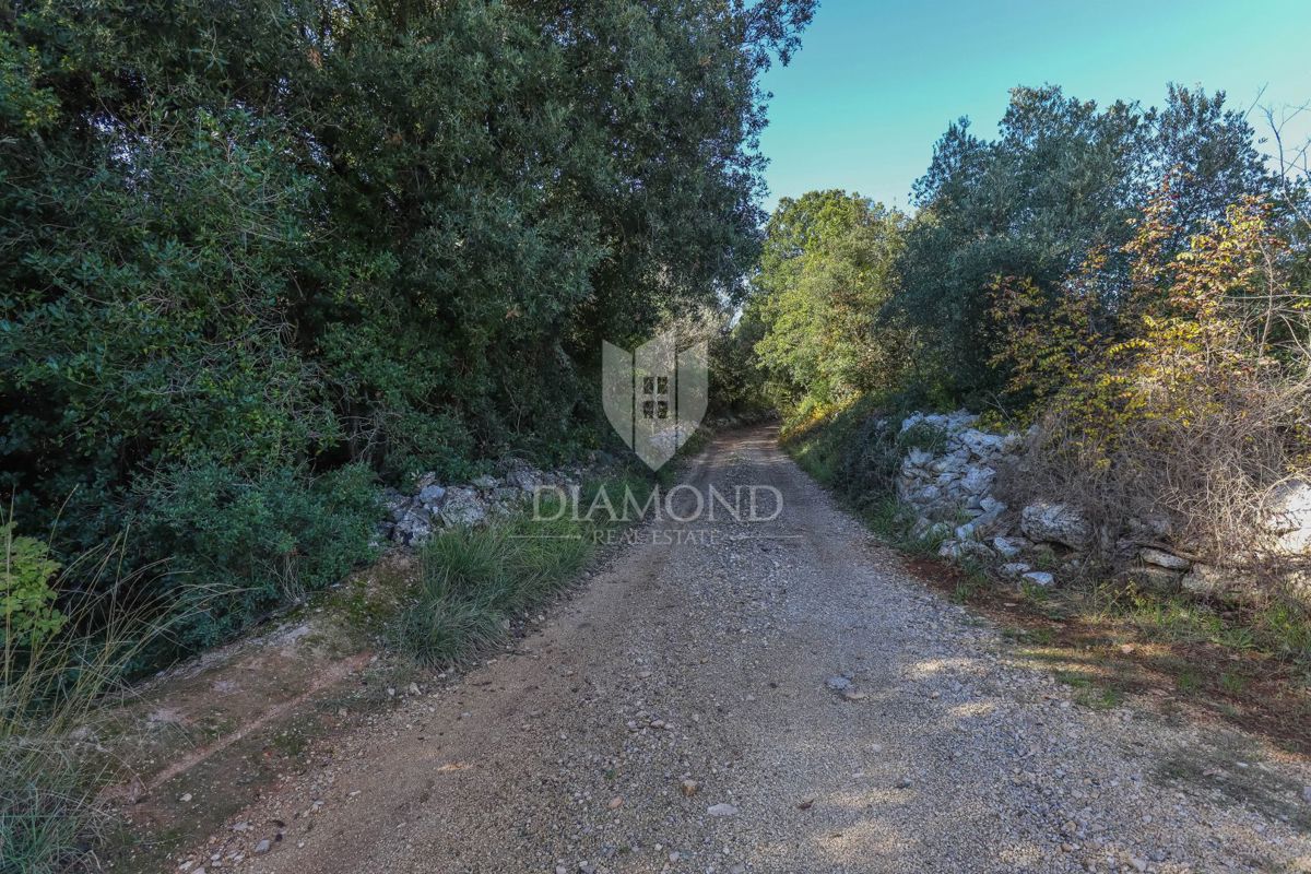 Rovinj, hiša na kmetijskem zemljišču blizu morja