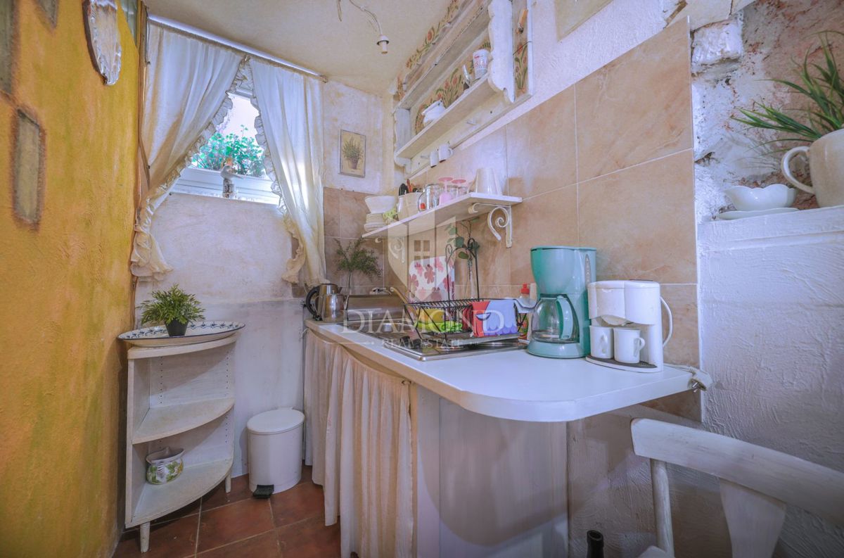 Rustikalno pritlično stanovanje v starem mestnem jedru