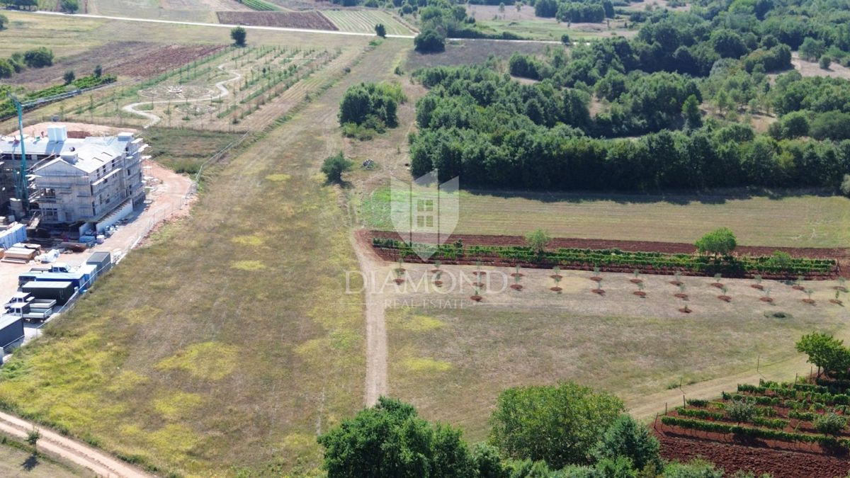 Barban, atraktivno gradbeno zemljišče v mirnem naselju 