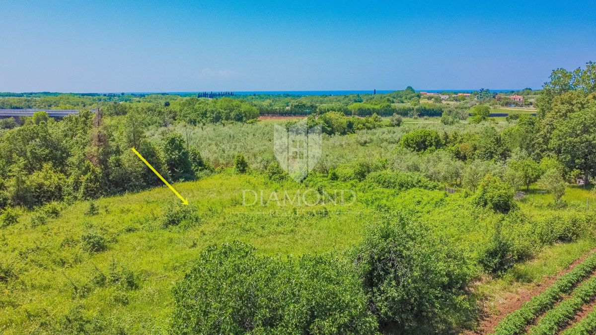 Zemljišče Brtonigla, 2.195m2